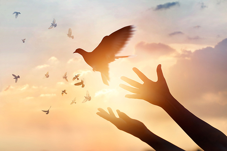 Divorce: More Women Are Ending Marriages Woman releasing dove into sunset sky/freedom